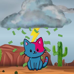 Fundraising Page: Monsoon Moneymakers